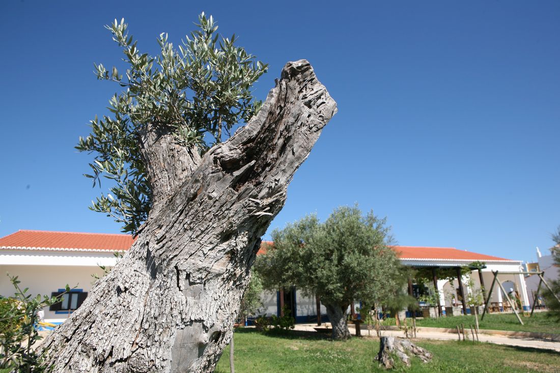 Erlebnisbauernhof „Quinta Pedagógica“