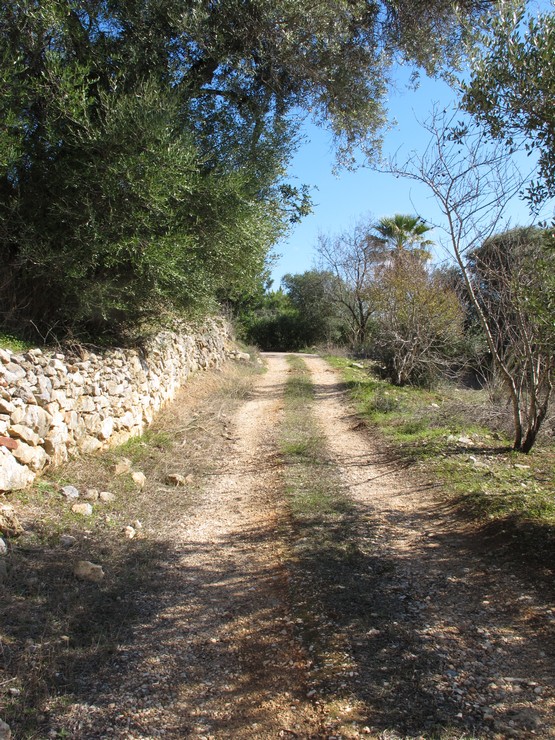 Über Algarviana Verbindung