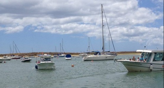 Alvor Boat Trips