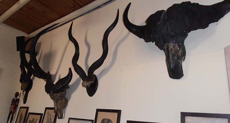 Restaurant Safari