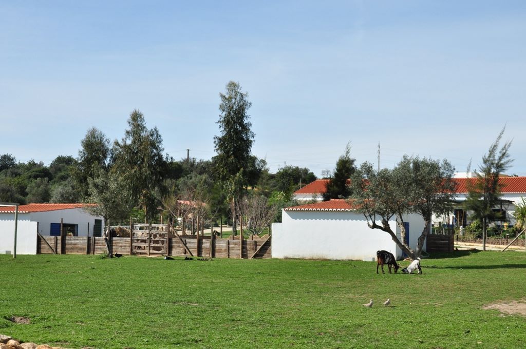 Erlebnisbauernhof „Quinta Pedagógica“