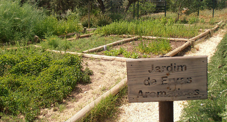 Erlebnisbauernhof „Quinta Pedagógica“
