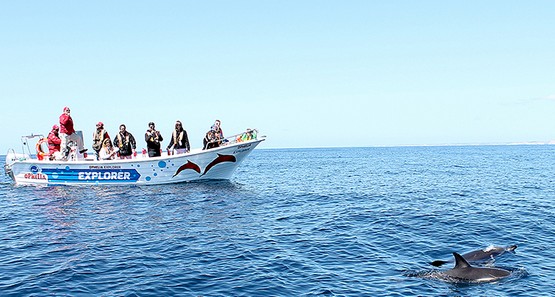 Ophelia Catamaran | Mares Maravilhosos 