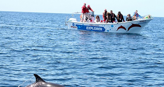 Ophelia Catamaran | Mares Maravilhosos 