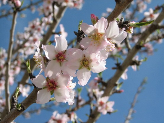 Journey to the Interior