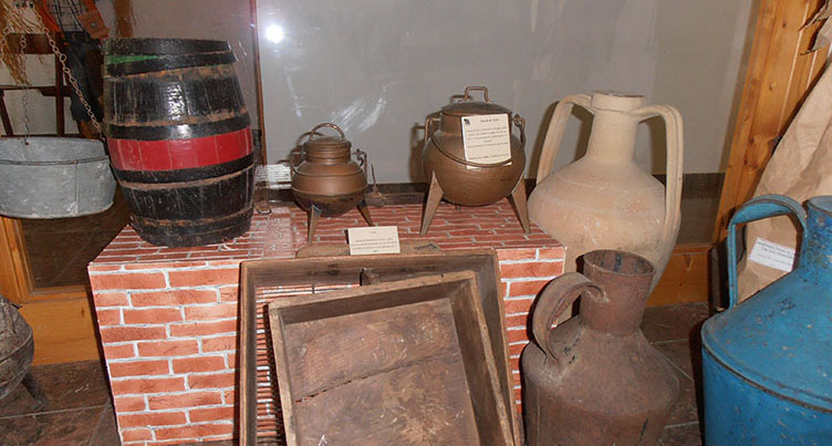 Portimão Educational Farm