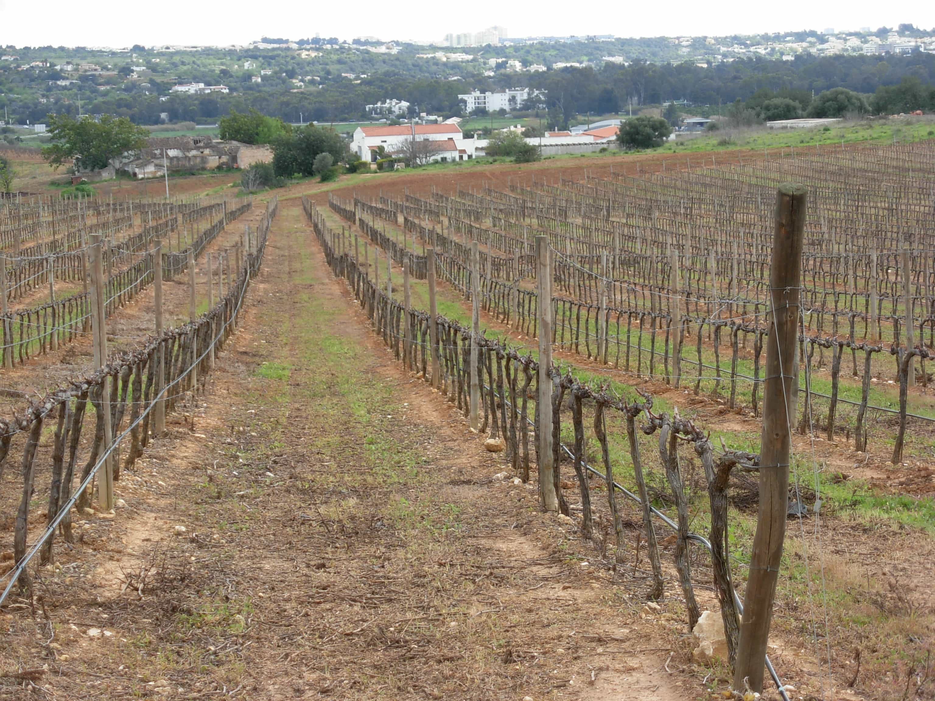 Herdade dos Pimentéis 