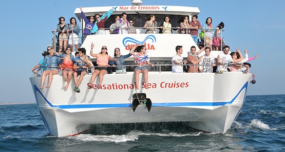 Ophelia Catamaran | Mares Maravilhosos 