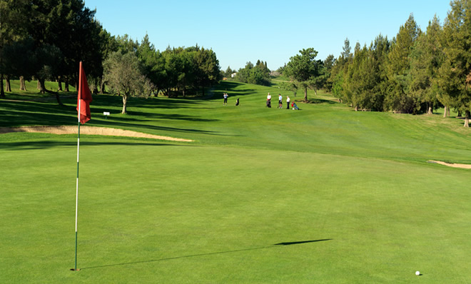 Pestana Alto Golf