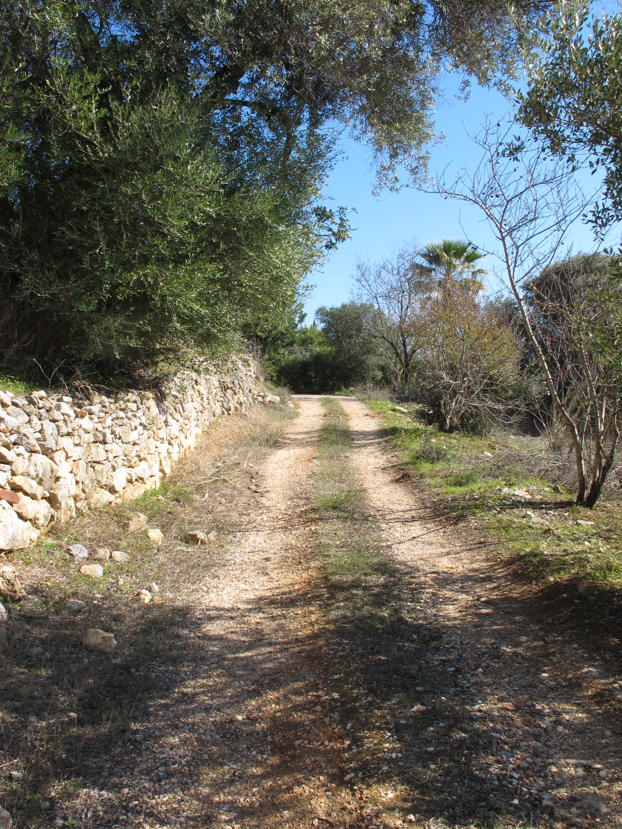 Via Algarviana Connection