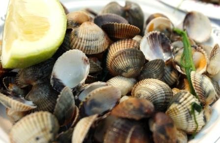 Restaurants in Alvor Restaurants in Alvor