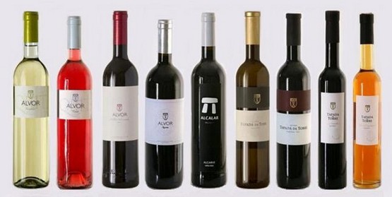 Quinta do Morgado da Torre