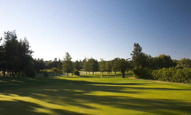 Pestana Alto Golf