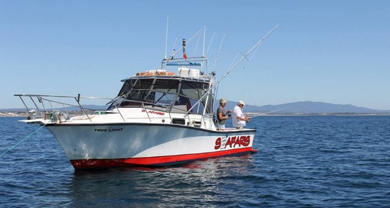 Dophin Seafaris - Atividades Maritimas Lda Dophin Seafaris - Atividades Maritimas Lda