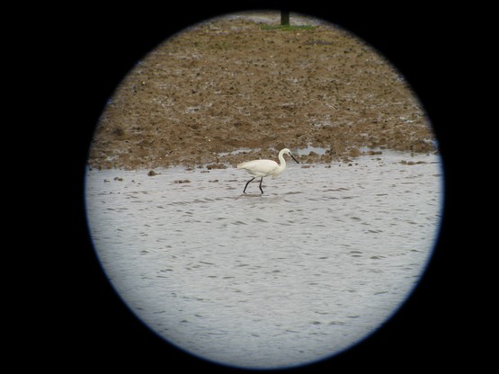 Caminhos do Tempo Caminhos do Tempo