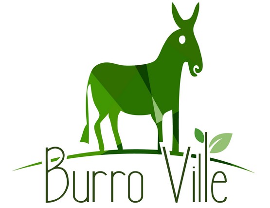 Burro Ville