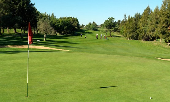 Pestana Alto Golf