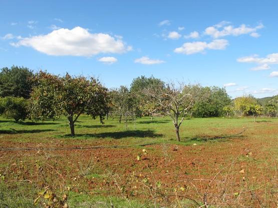 Ligação à Via Algarviana