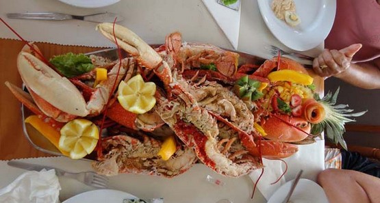 Restaurante Salsada do Zé 