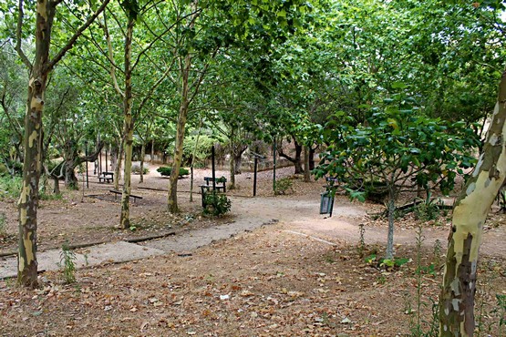 Parque da Juventude